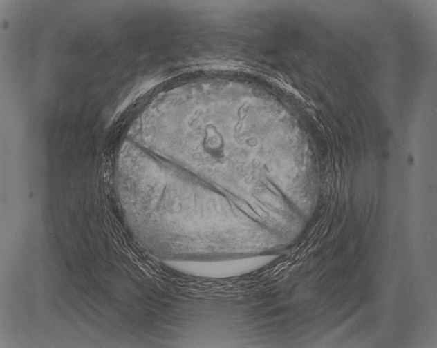 X0000081601255200702121540