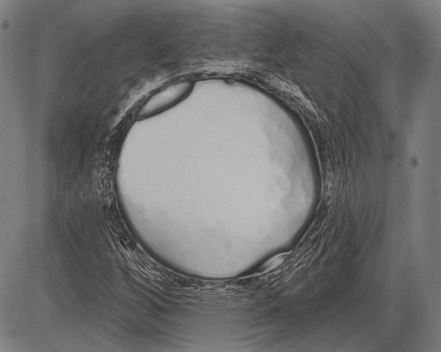 X0000081601256200702121540