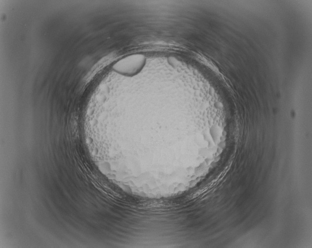 X0000081601259200702121540