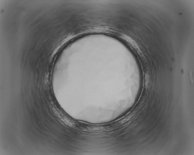 X0000081601260200702121540