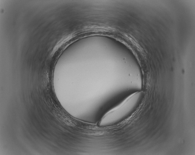 X0000081601261200702121540