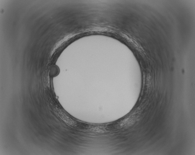 X0000081601262200702121540