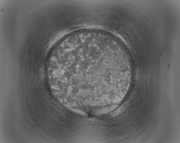 X0000081601263200702121540