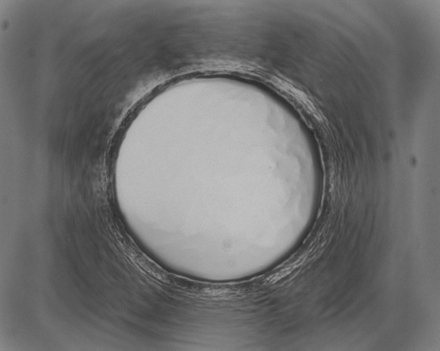 X0000081601264200702121540