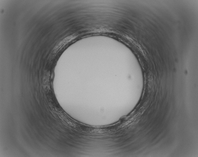 X0000081601265200702121540