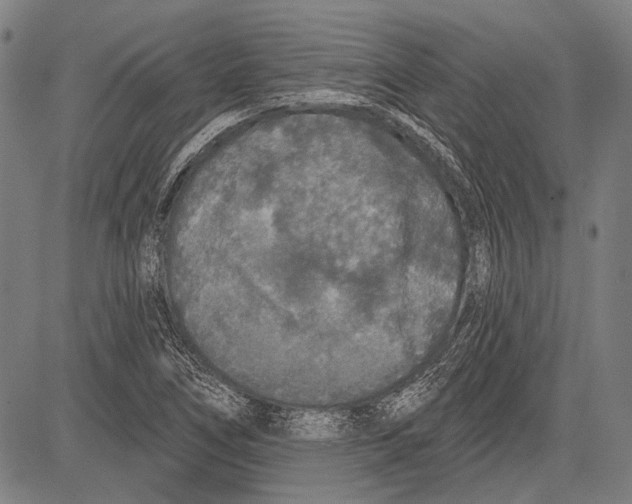 X0000081601266200702121540