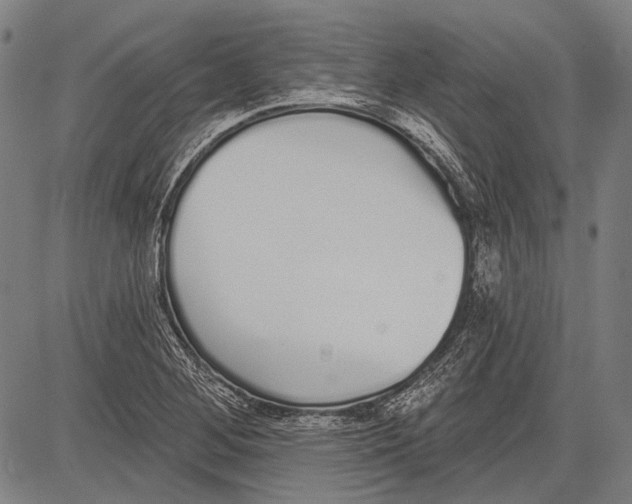 X0000081601268200702121540