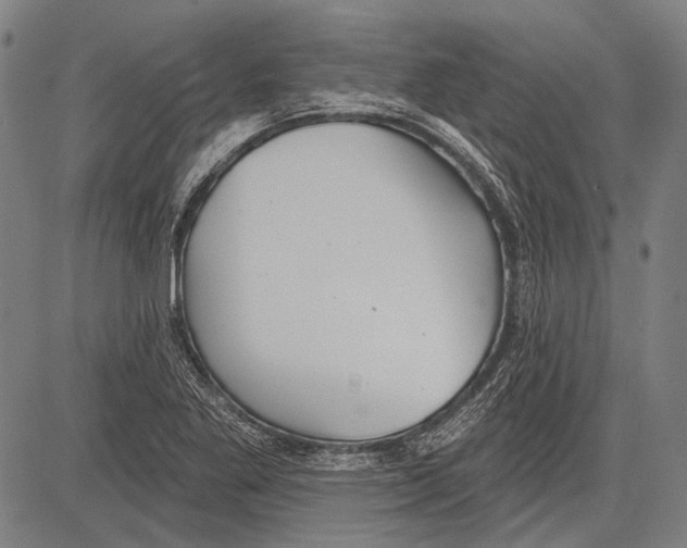 X0000081601269200702121540