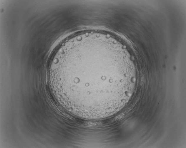 X0000081601271200702121540