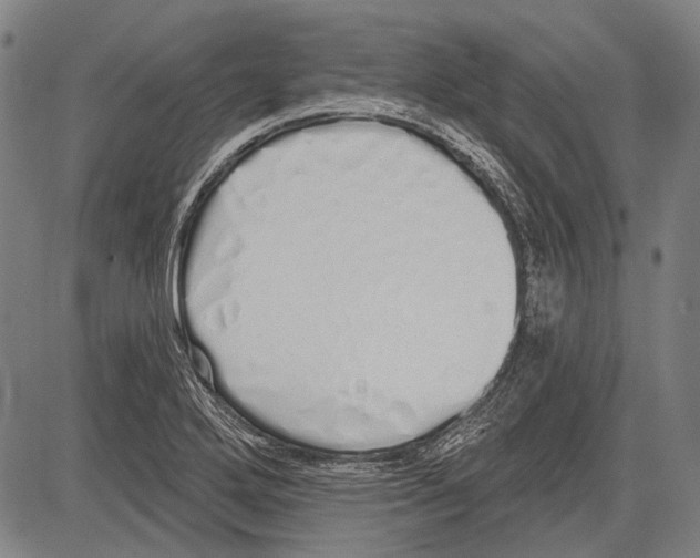 X0000081601272200702121540