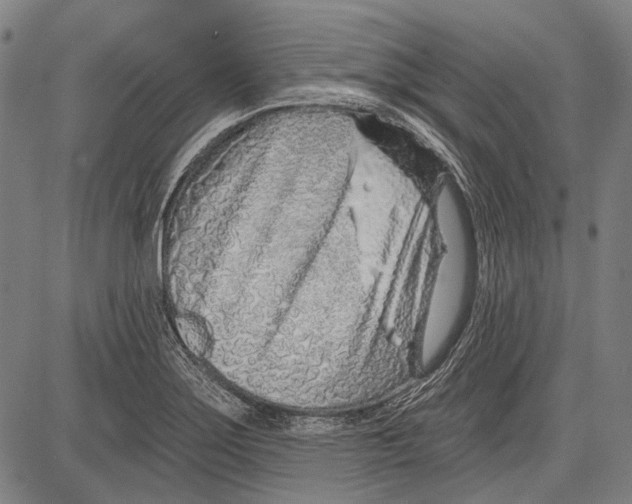 X0000081601275200702121540