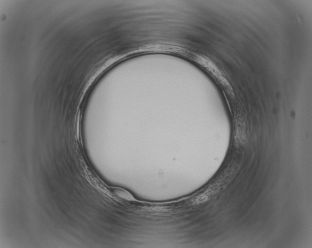 X0000081601276200702121540