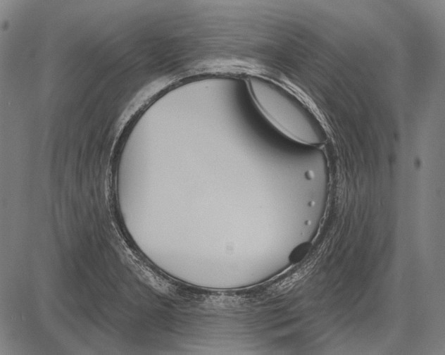 X0000081601277200702121540