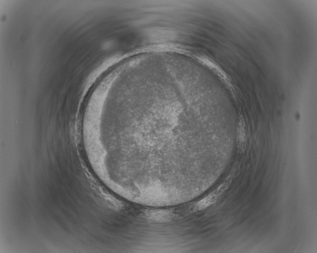 X0000081601278200702121540