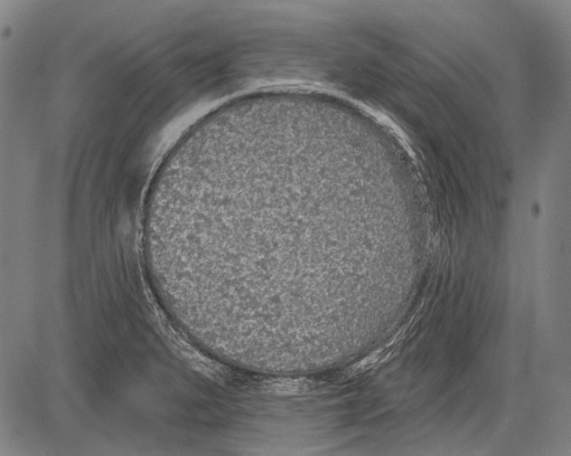 X0000081601279200702121540