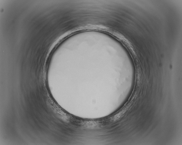 X0000081601280200702121540