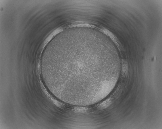 X0000081601282200702121540