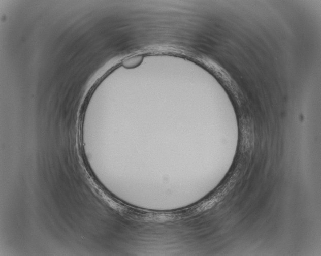 X0000081601286200702121540