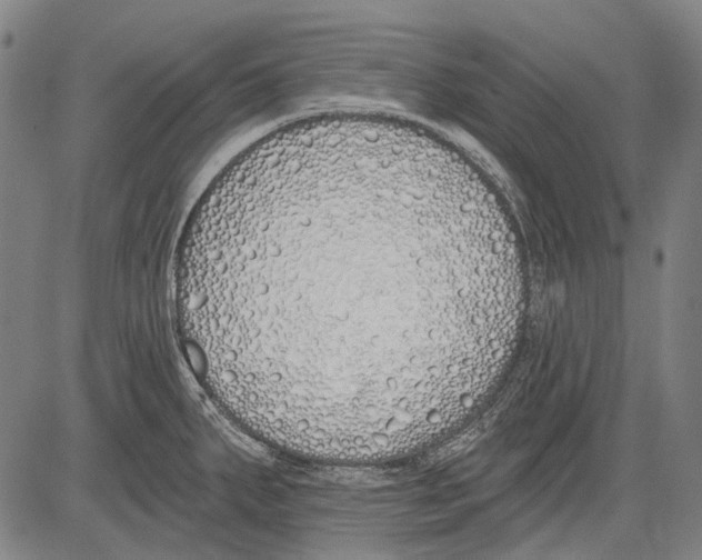 X0000081601287200702121540