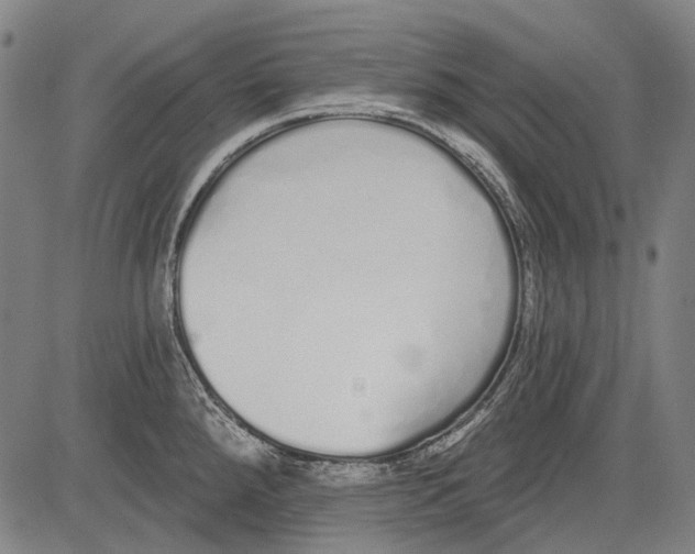 X0000081601288200702121540