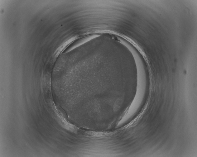 X0000081601289200702121540