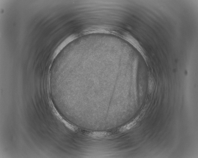 X0000081601290200702121540