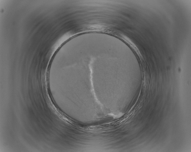 X0000081601291200702121540