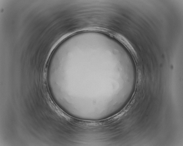 X0000081601292200702121540