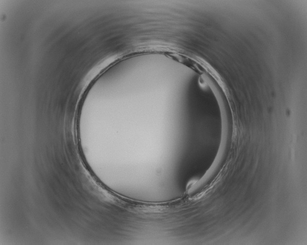 X0000081601293200702121540