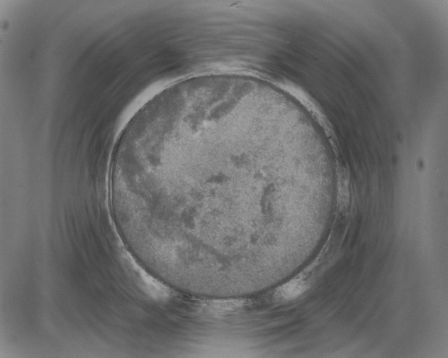 X0000081601294200702121540