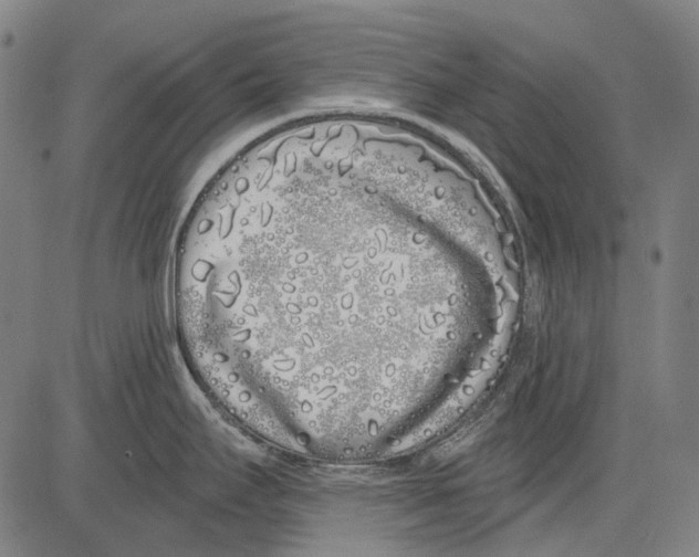 X0000081601295200702121539