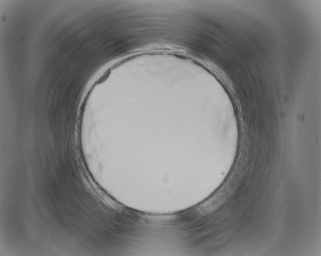 X0000081601296200702121539