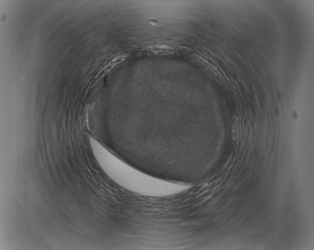 X0000081601298200702121539