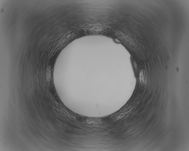 X0000081601299200702121539