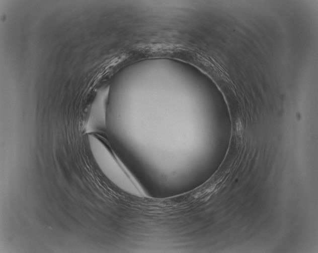 X0000081601300200702121539