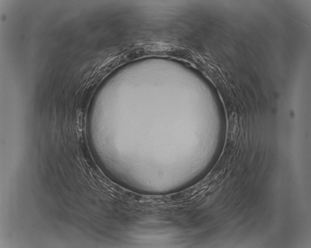 X0000081601301200702121539