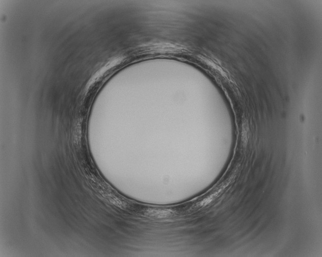 X0000081601309200702121539