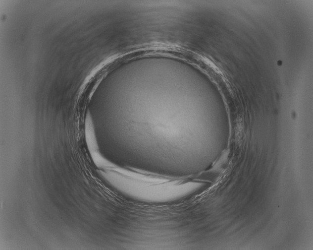 X0000081601310200702121539