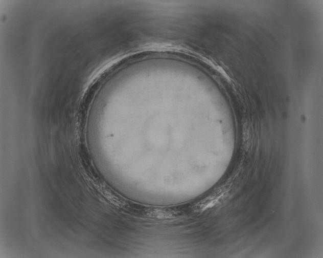 X0000081601311200702121539