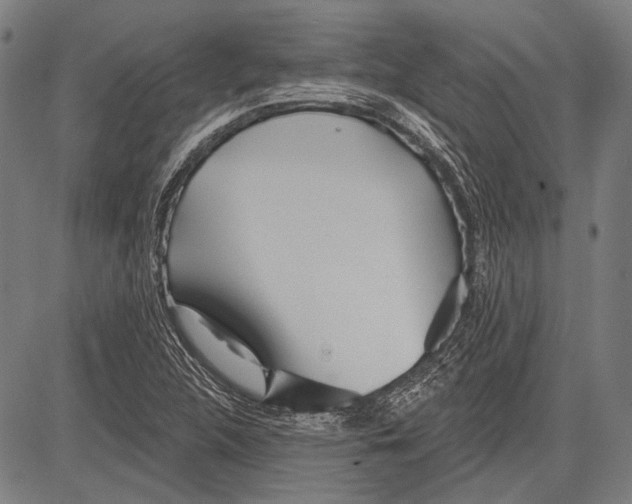 X0000081601312200702121539