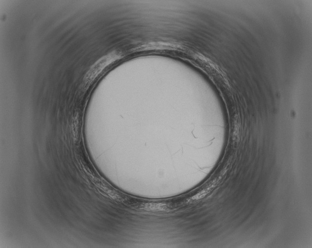 X0000081601313200702121539