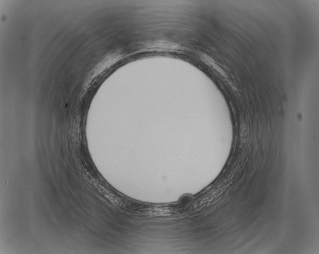 X0000081601315200702121539