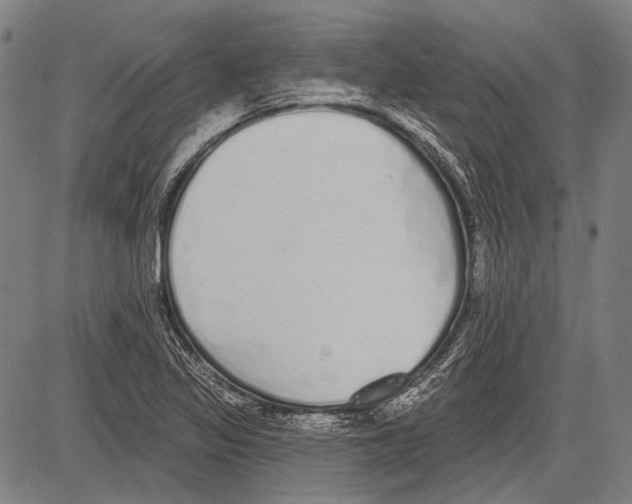 X0000081601317200702121539