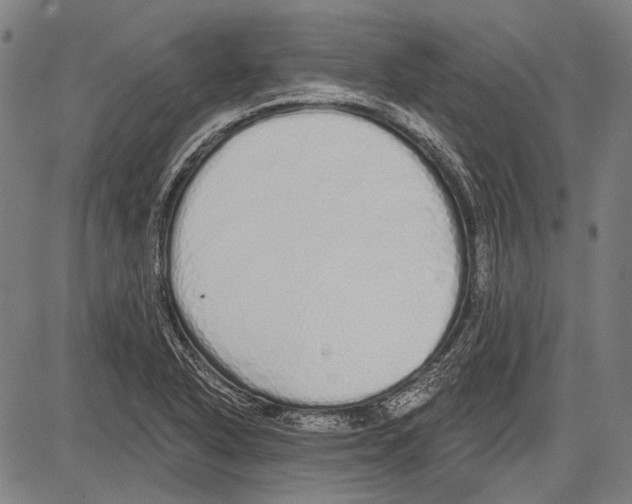 X0000081601318200702121539