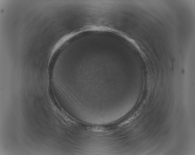 X0000081601319200702121539