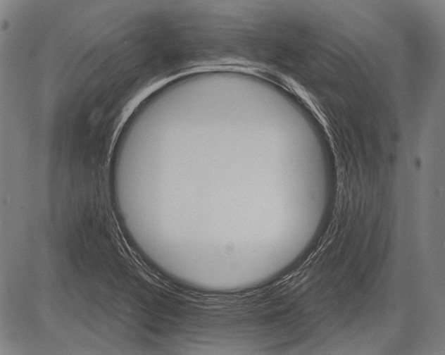 X0000081601320200702121539