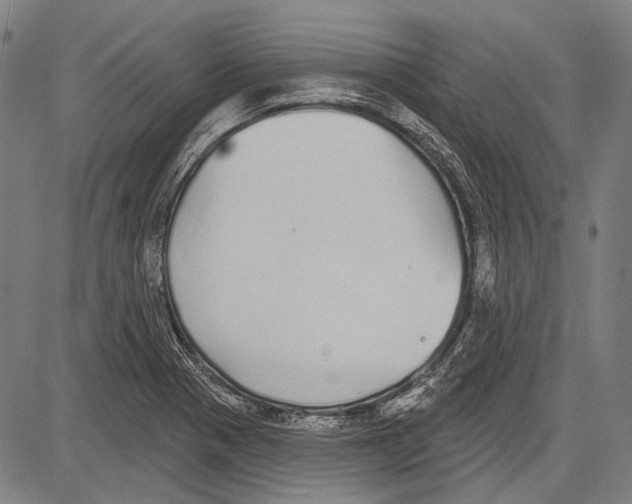 X0000081601321200702121539