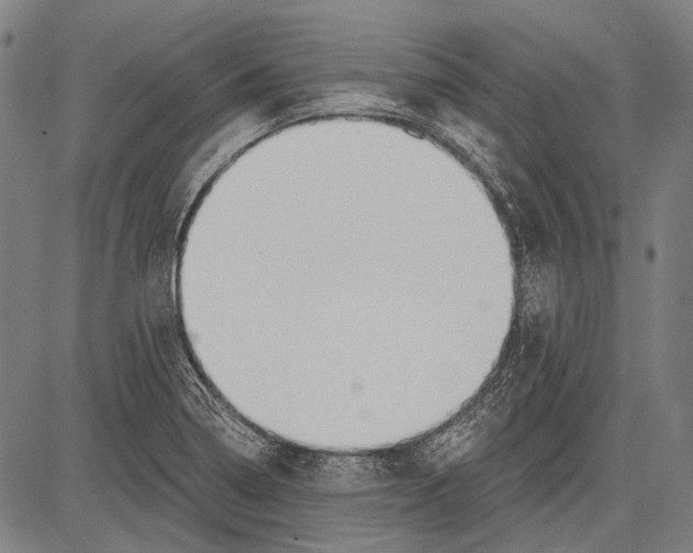 X0000081601322200702121539