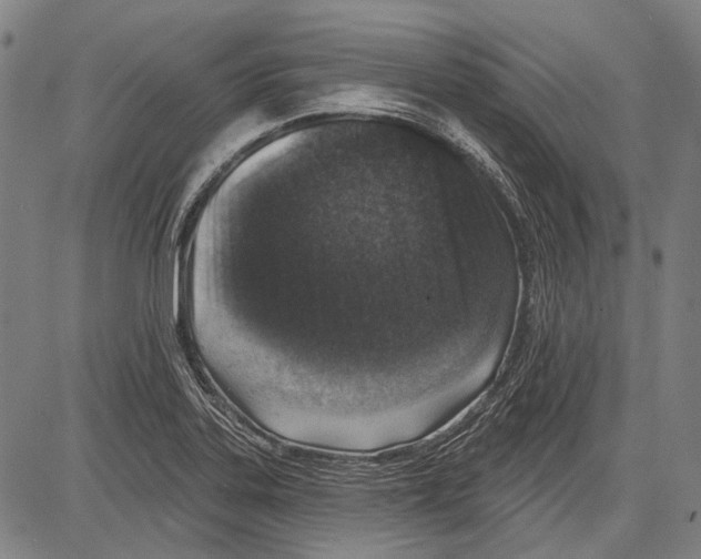 X0000081601323200702121539