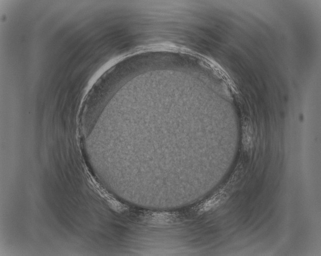 X0000081601326200702121539